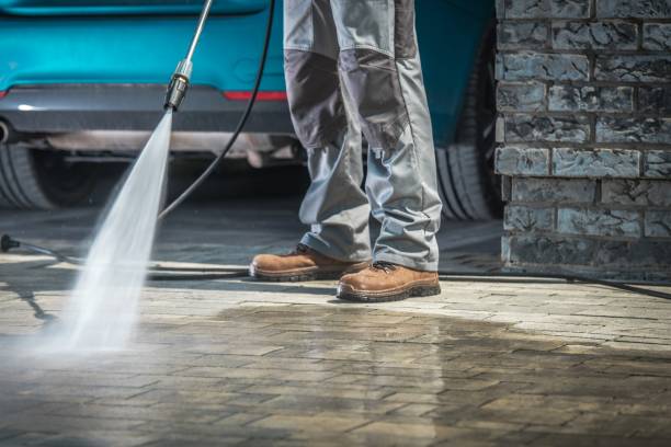 Best Fleet Vehicle Washing  in Howey In The Hills, FL