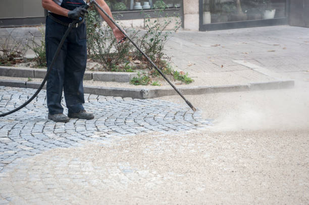Best Sidewalk and Walkway Cleaning  in Howey In The Hills, FL